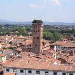 Lucca 01