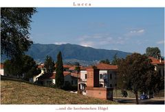 Lucca