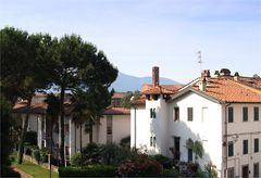 Lucca