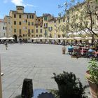 Lucca 2