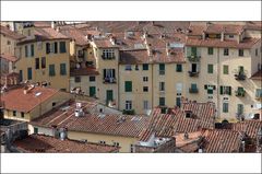 Lucca