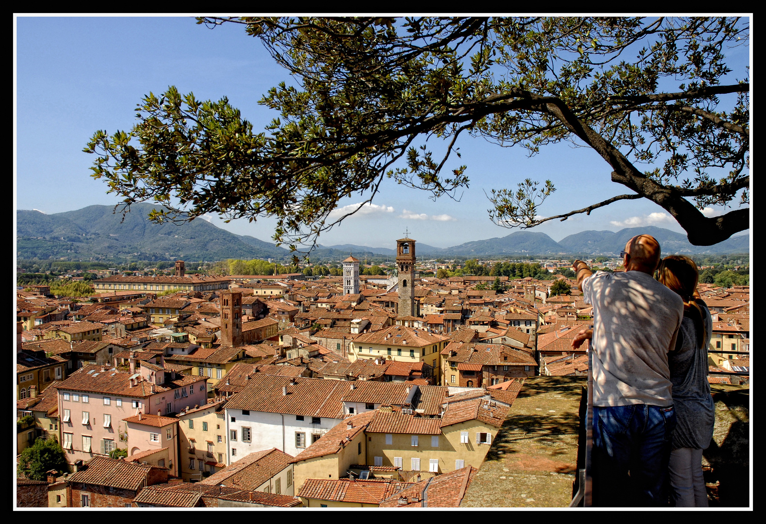 Lucca - Blick vom Torre Guinigi