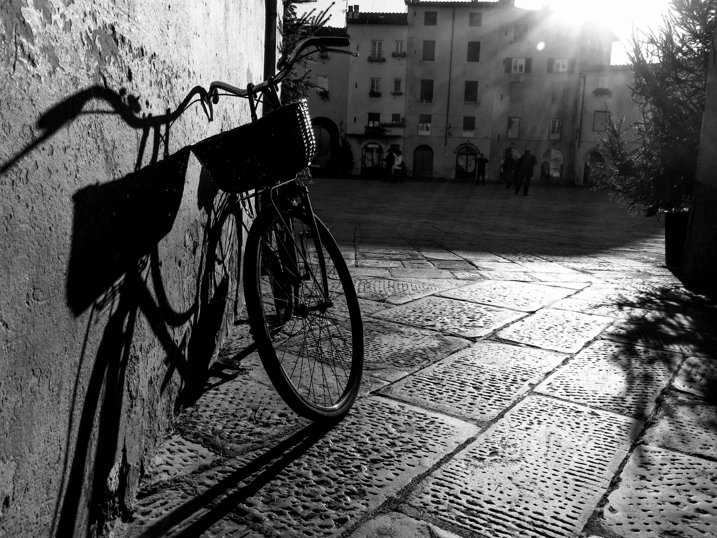 Lucca B&W