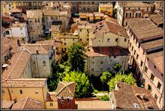 Lucca  -   centro storico