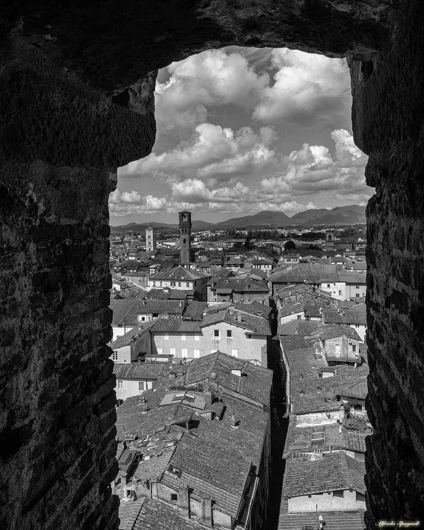 LUCCA-DALLA-TORRE-GUINIGI