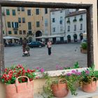 Lucca gespiegelt