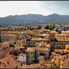 Lucca Panorama