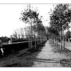 Lucca promenade