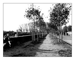 Lucca promenade