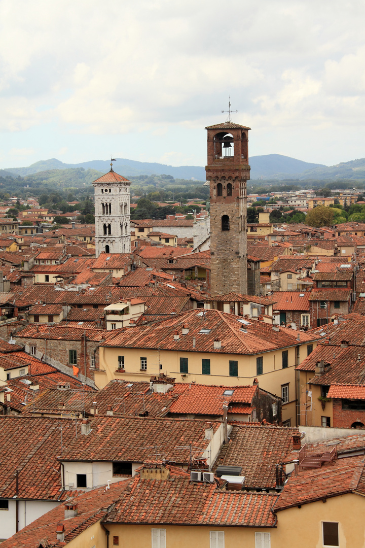 Lucca roofs