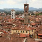 Lucca roofs