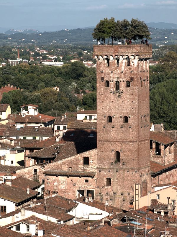 Lucca - Torre del Guinigi