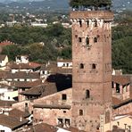 Lucca - Torre del Guinigi