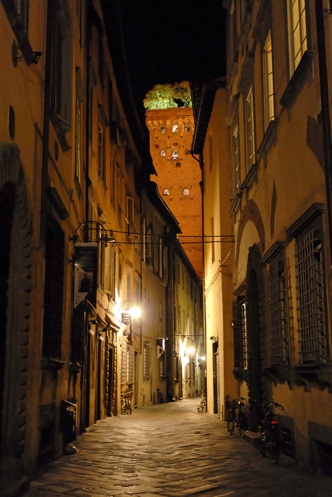 Lucca - Torre Guinigi