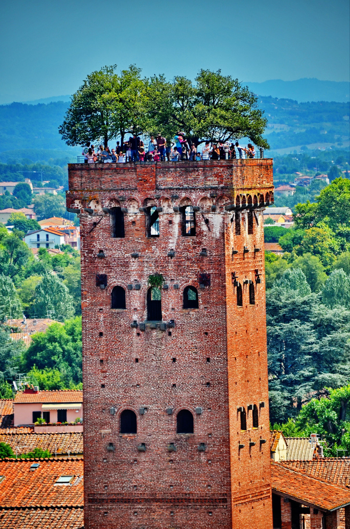 Lucca, Torre Guinigi