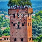 Lucca, Torre Guinigi