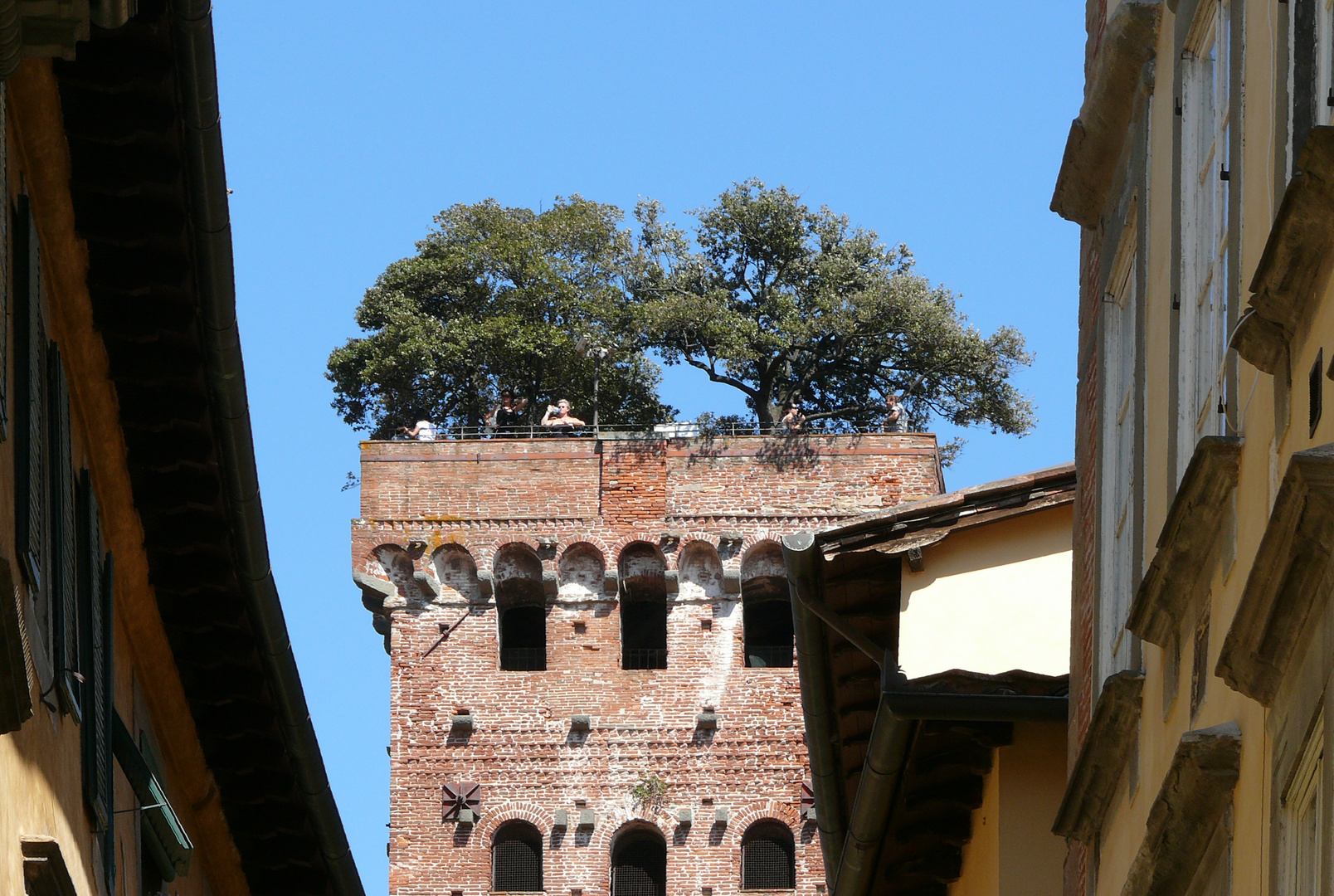 Lucca (Toskana) - Torre Guinigi