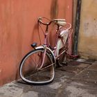Lucca - Zwei Rad