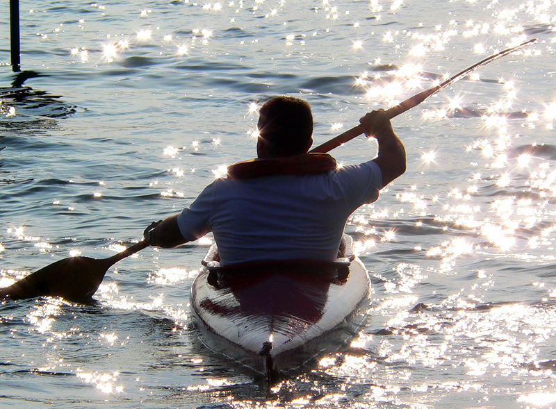 Lucciole sul lago