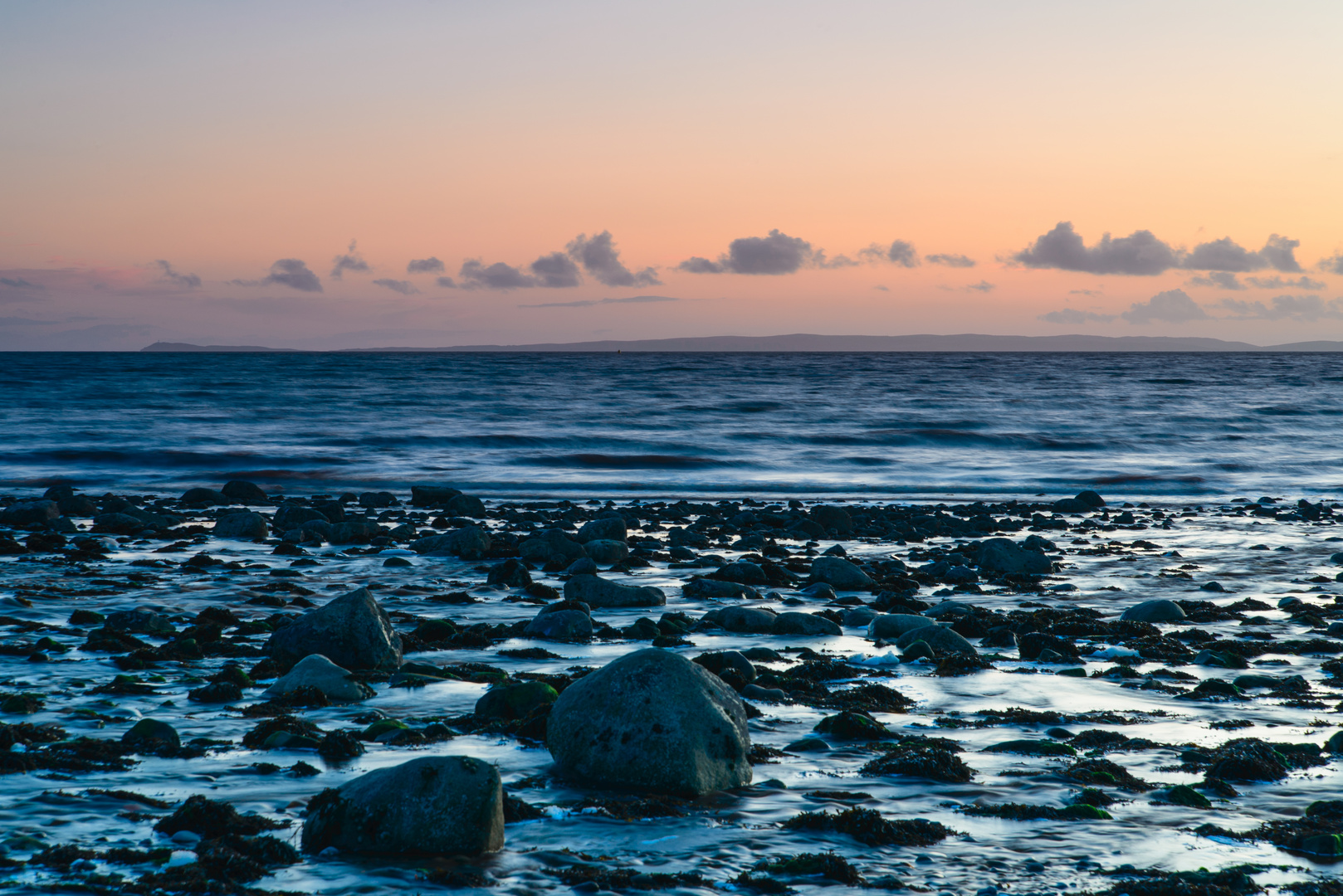 [ Luce Bay ]