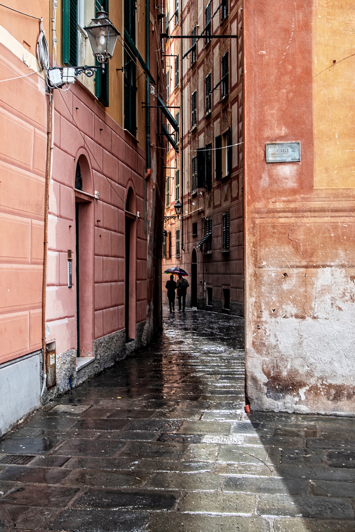 Luce, Camogli