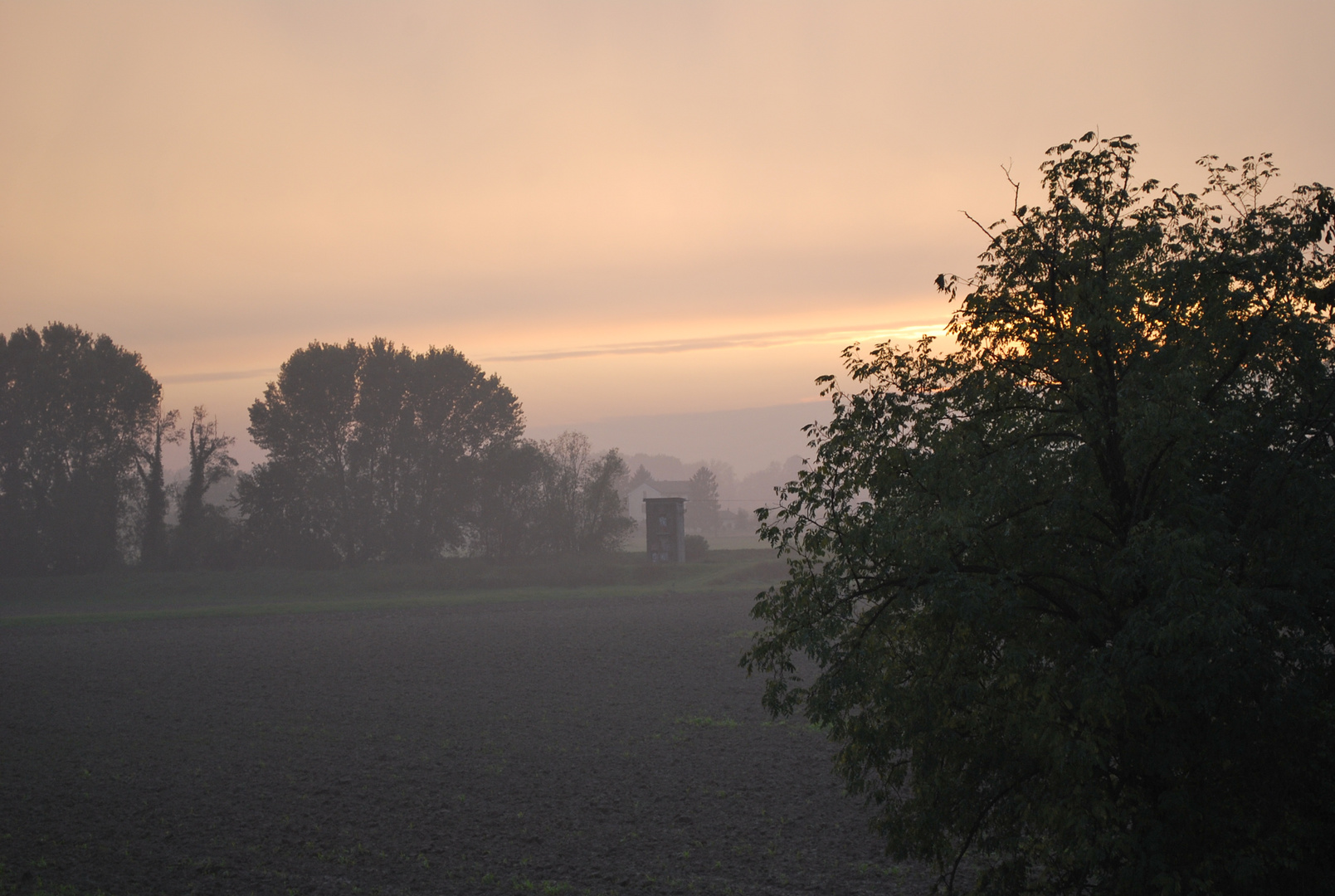 Luce d'Autunno