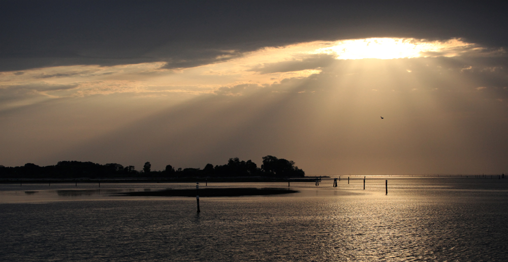 Luce del tramonto in laguna