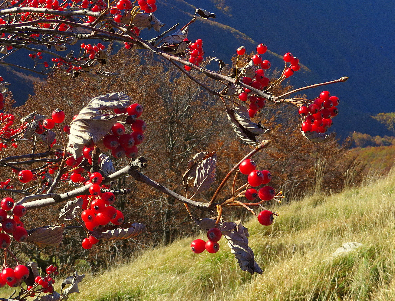 Luce e colori dell'autunno