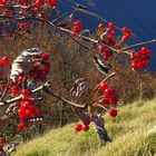 Luce e colori dell'autunno