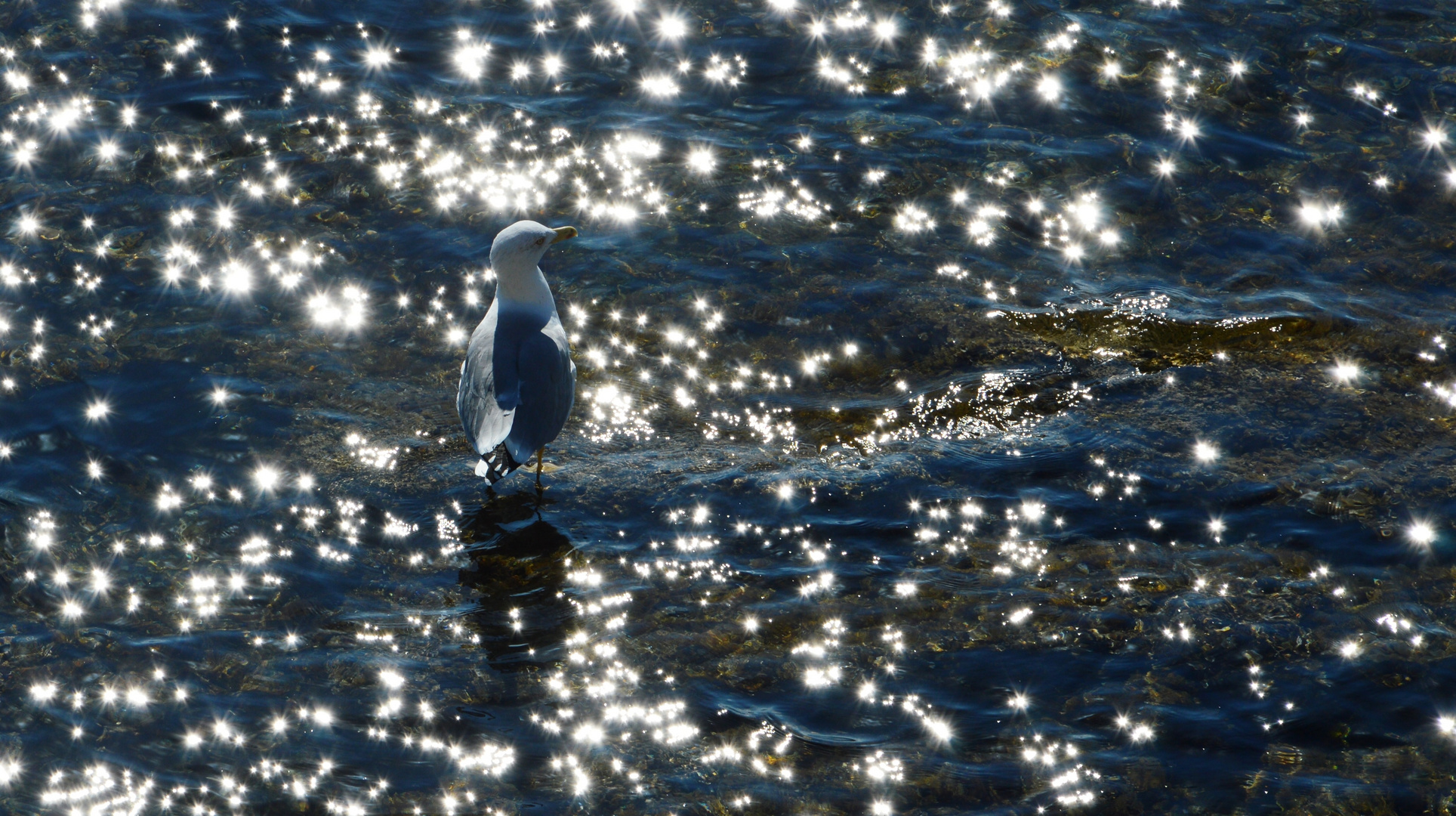 Luce e libertà