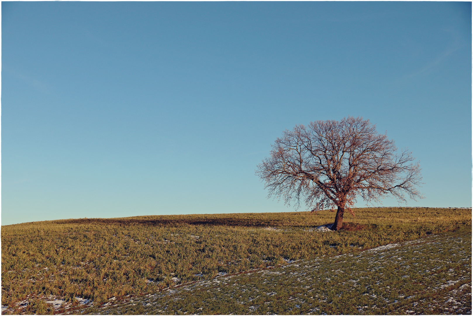 LUCE GELO E LONELINESS