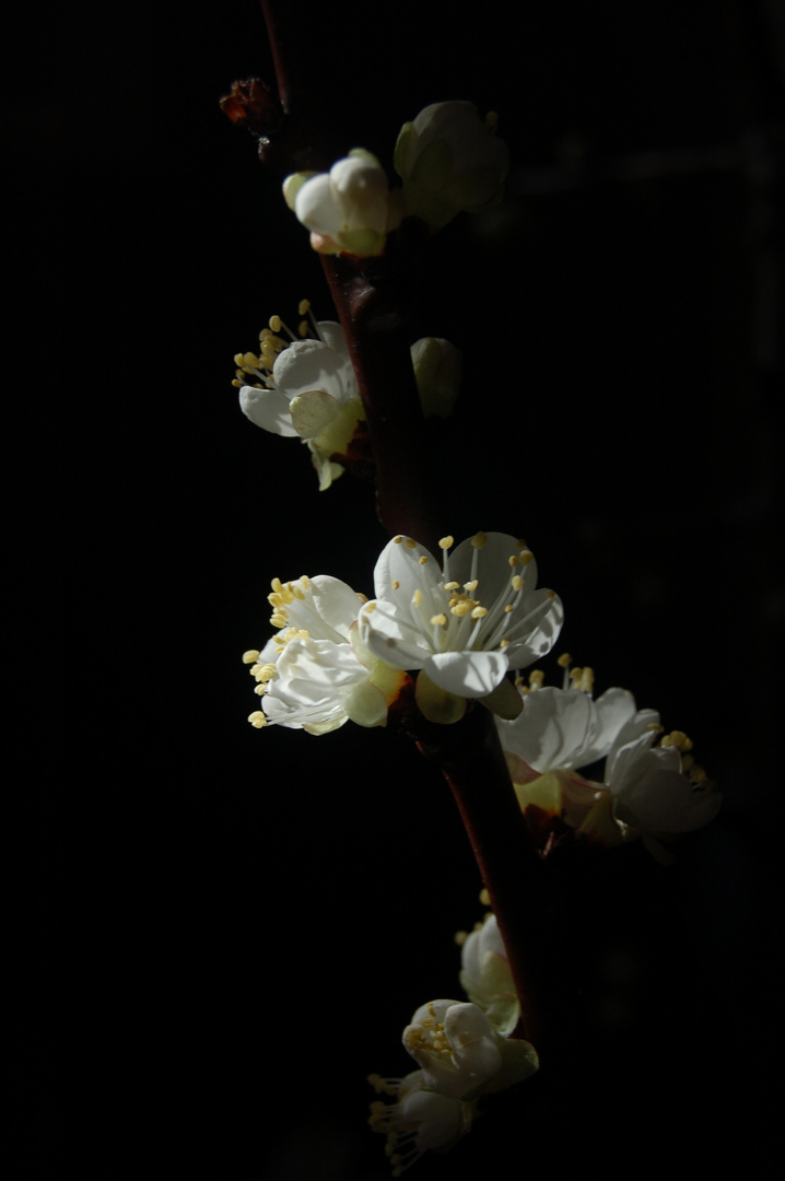 luce nel buio