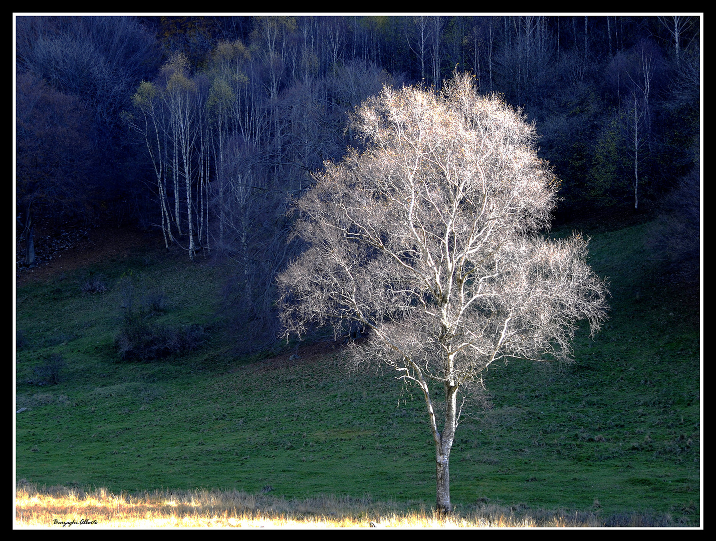 luce nella fotografia