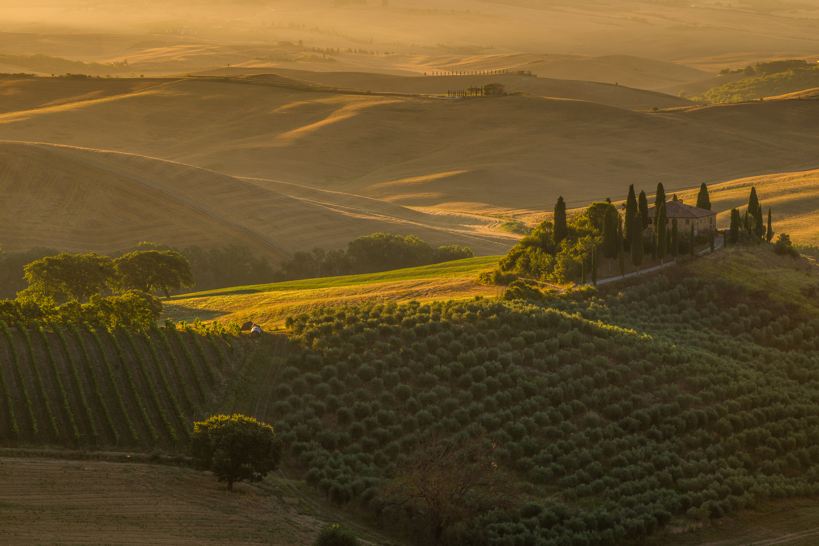 Luce sul poggio