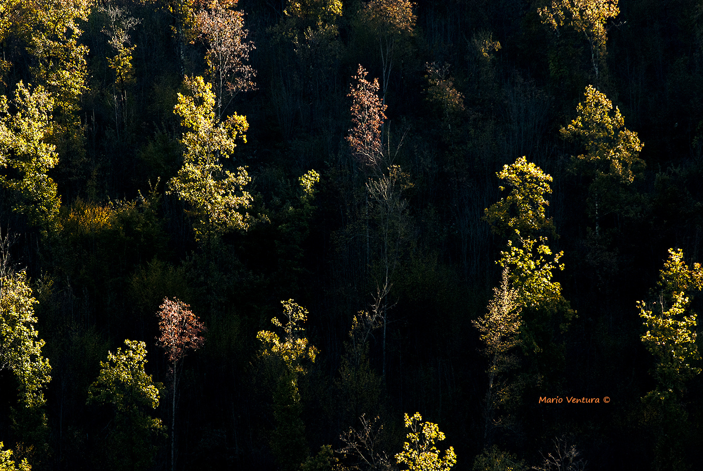 Luce traversa d'autunno