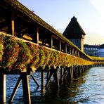 Lucerne au fil de l'eau. 2