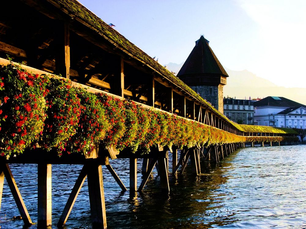 Lucerne au fil de l'eau. 2