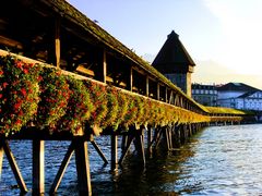 Lucerne au fil de l'eau. 2