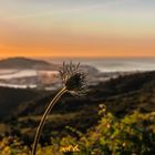 luces de amanecer en Ceuta (España)