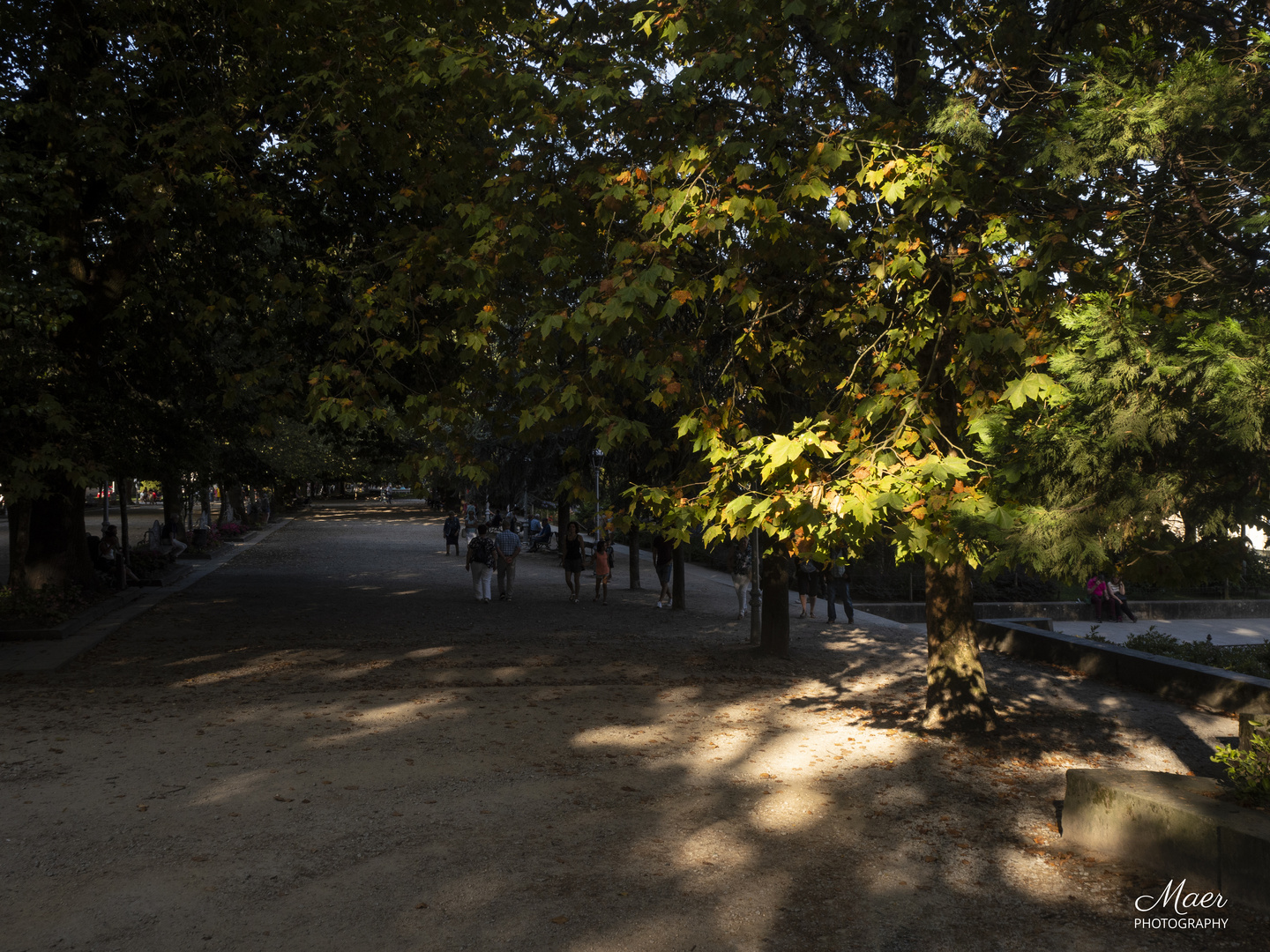 Luces de Otoño en Agosto.Alameda.