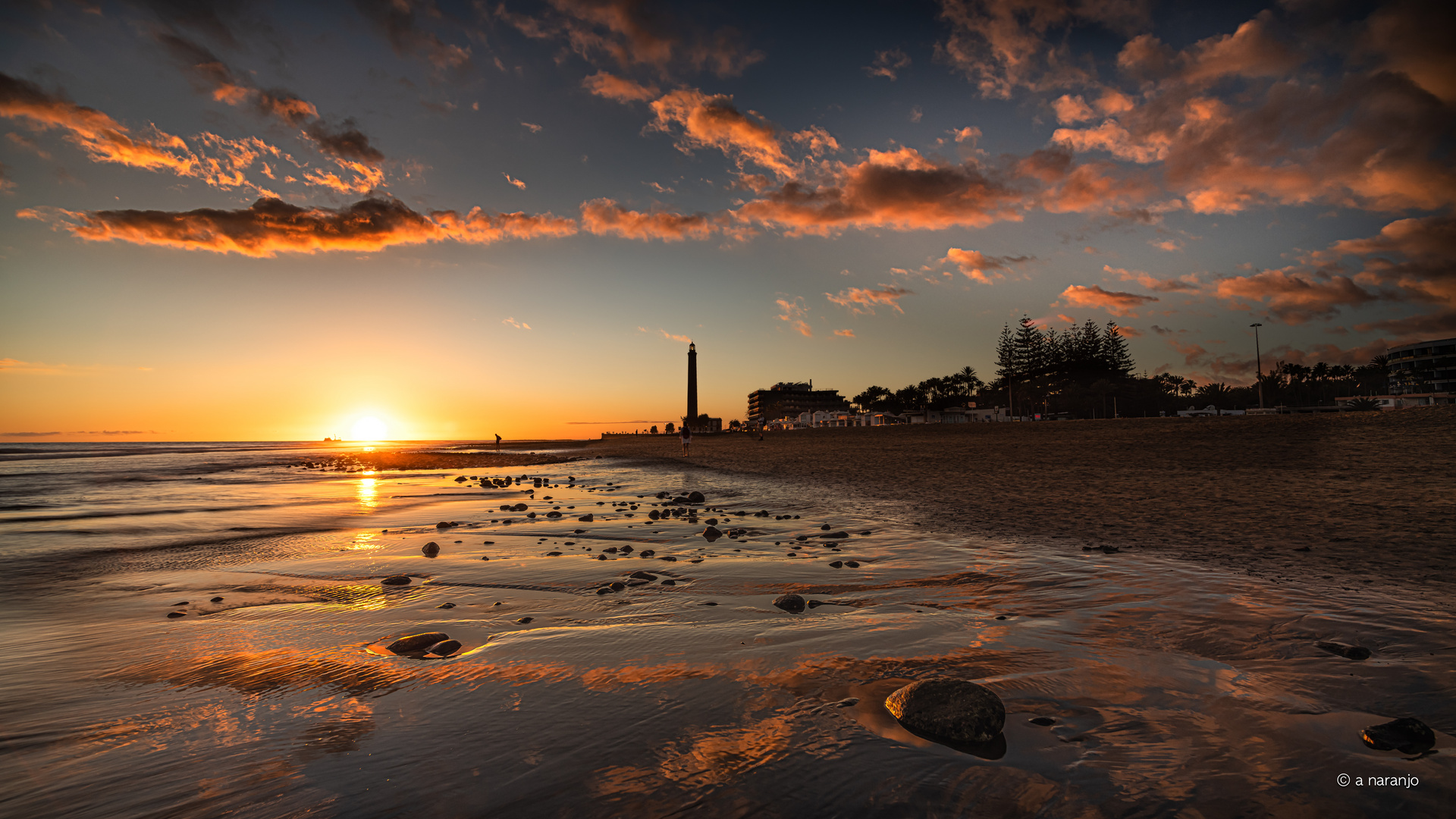 LUCES DE OTOÑO MASPALOMAS