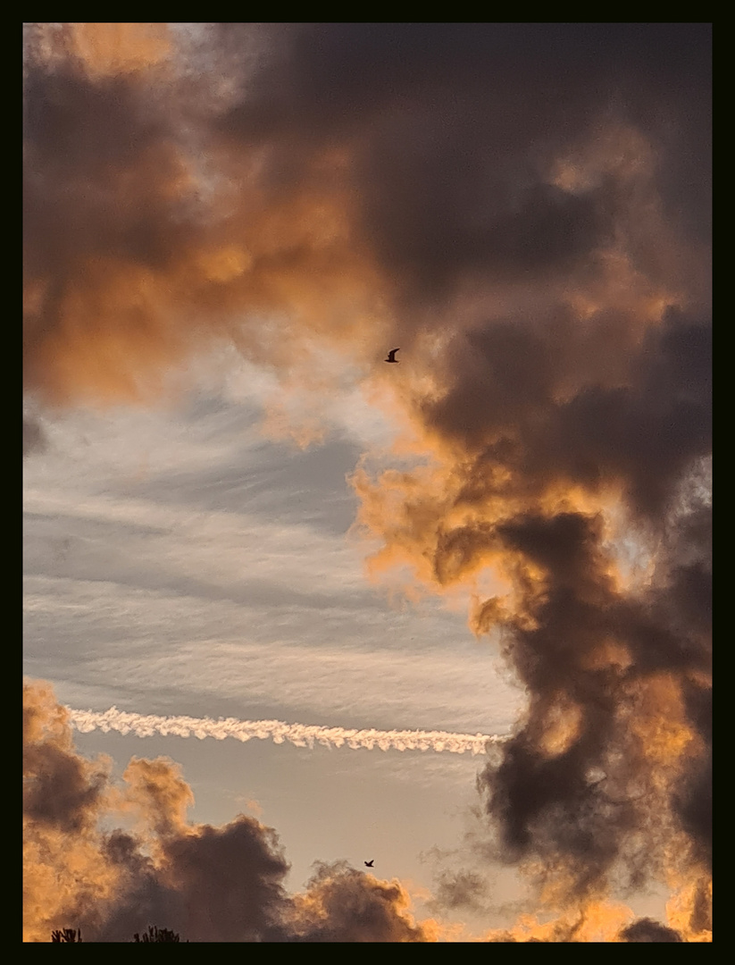 Luces del atardecer de Octubre