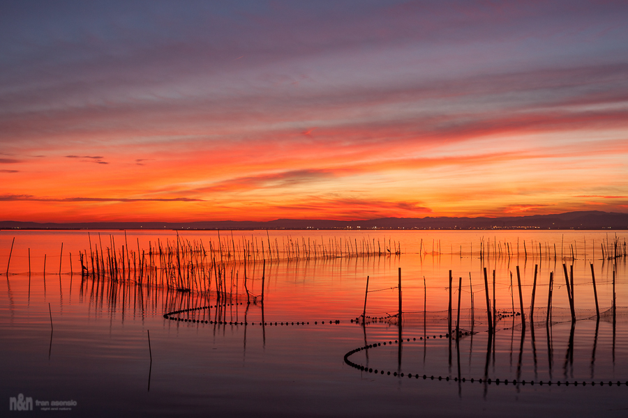 Luces en la albufera