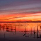 Luces en la albufera