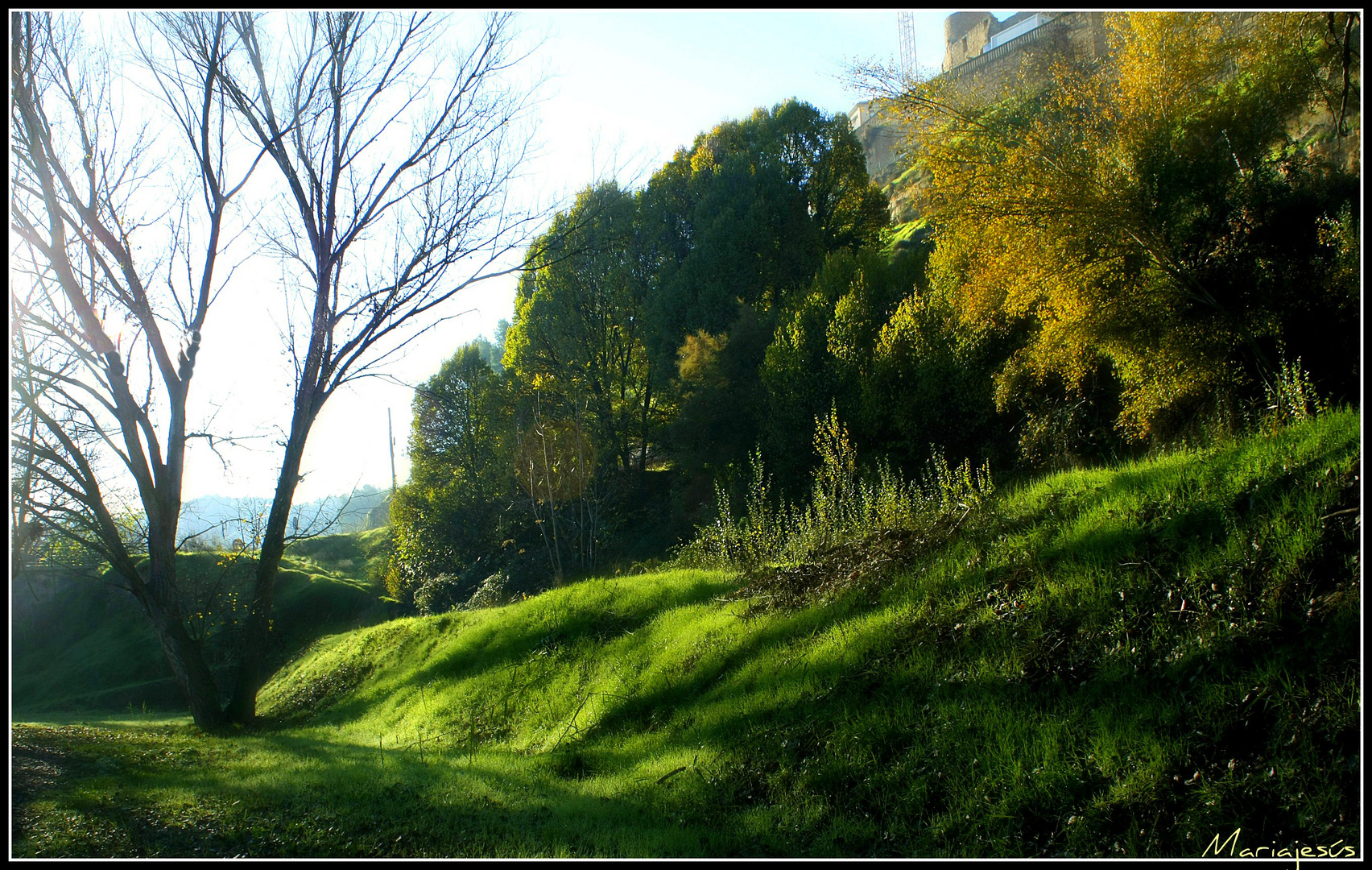 Luces y sombras