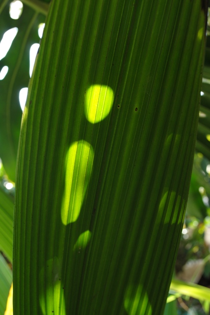 Luces y sombras