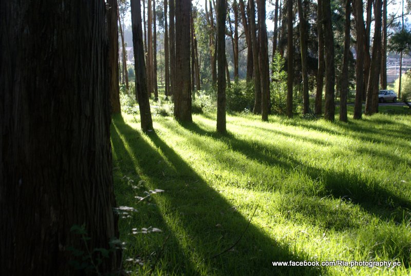 Luces y sombras