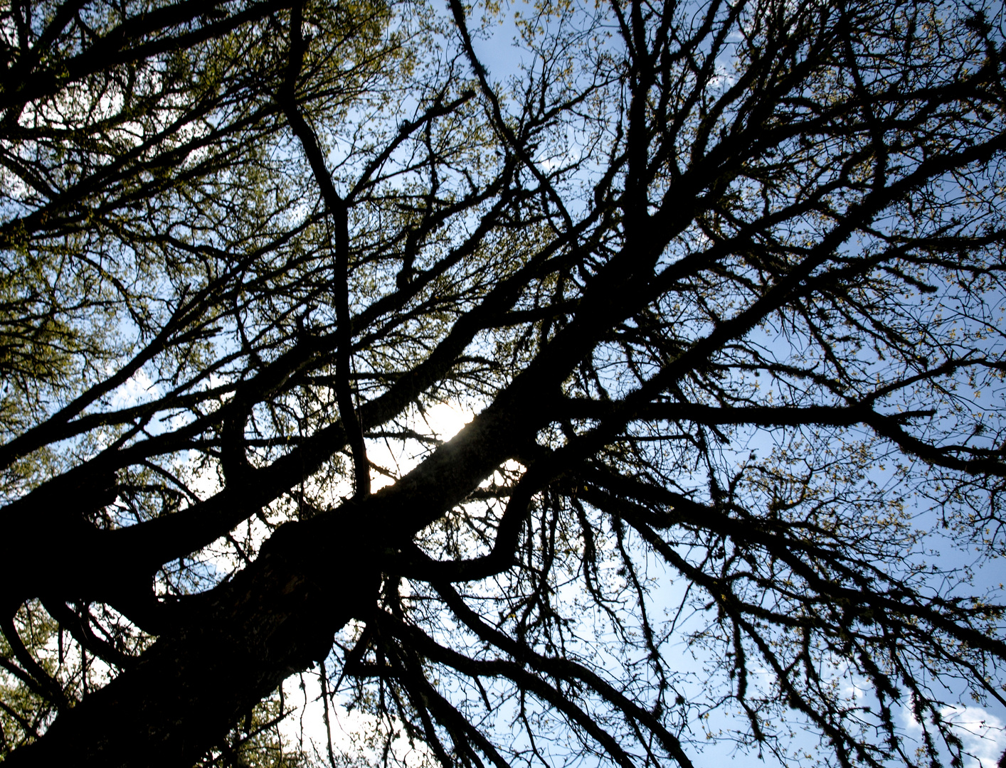 LUCES Y SOMBRAS