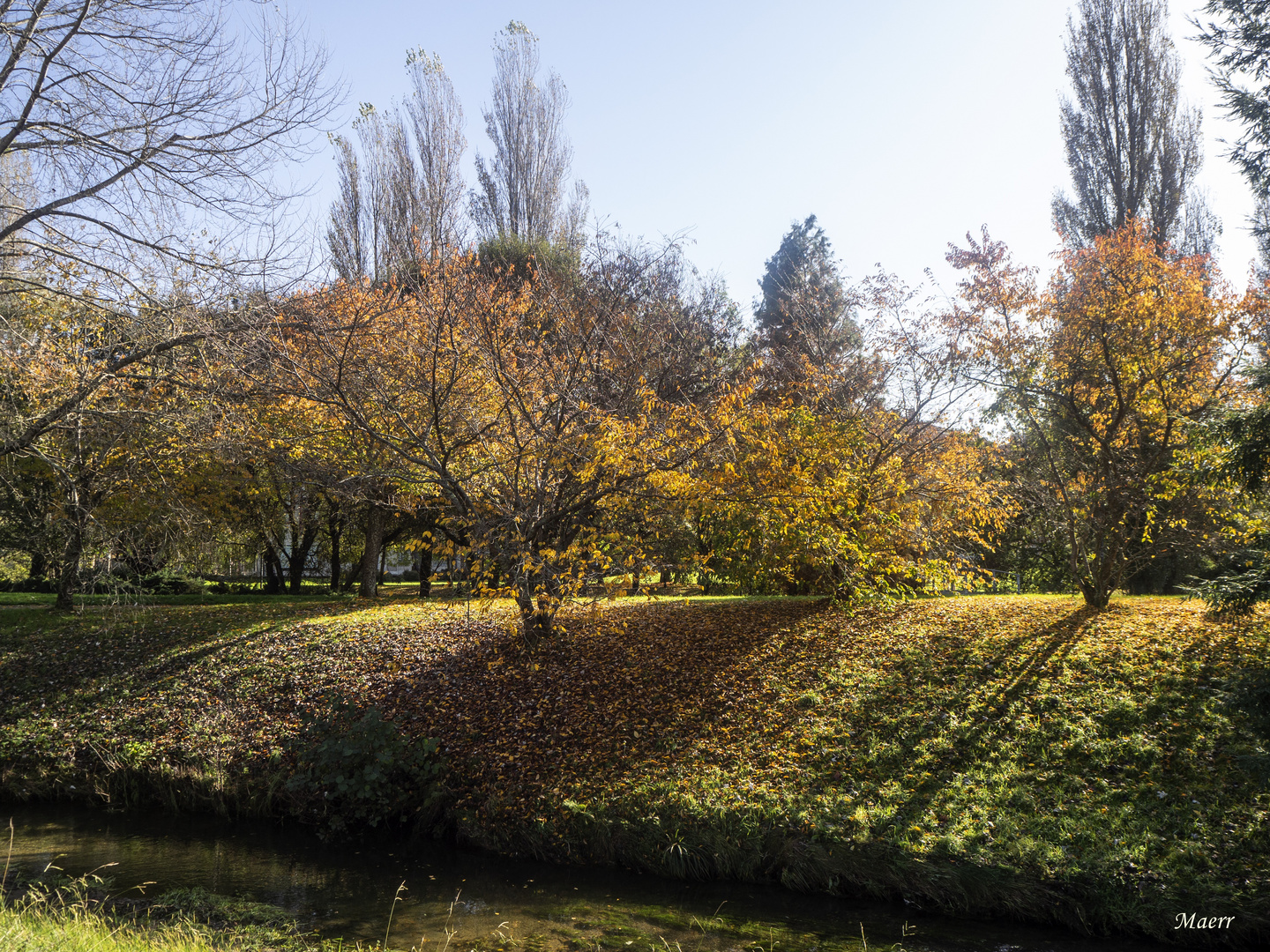 Luces y sombras en otoño