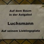 Luchsmann